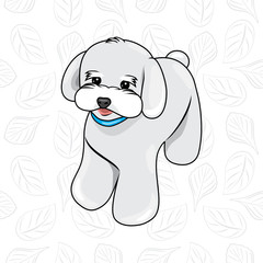 Cute white puppy with a blue collar on a leafy background