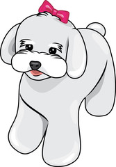 Cute white puppy with a pink bow