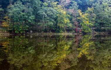 Shades of early Fall