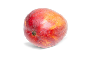 Mango isolated on white