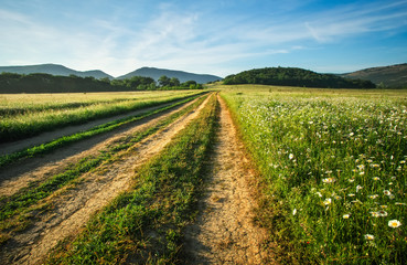 Fototapeta na wymiar Landscape with dirt road between meadow in the spring. Agricultural, fields and mountain.