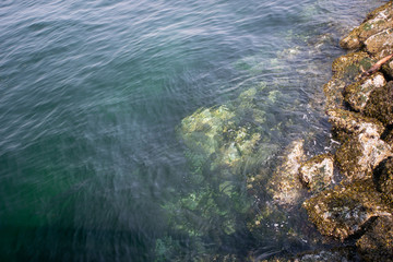 Ocean to Rock
