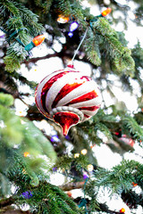 Christmas Ornament