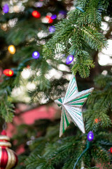 Christmas Ornament in Tree