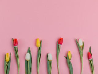 Valentine's Day background. Beautiful fresh tulips.