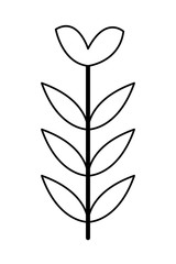 furniture decoration plant black and white