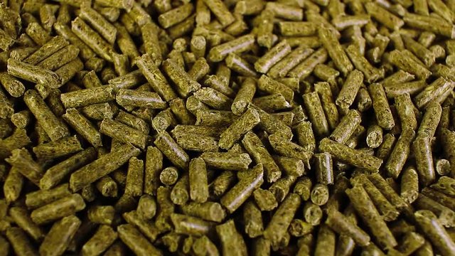 Rabbit guinea pig herbs food closeup texture pattern seamless looping rotating video footage hd resolution.