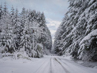 Rural Road After Snow