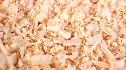 Wood excelsior pet bedding