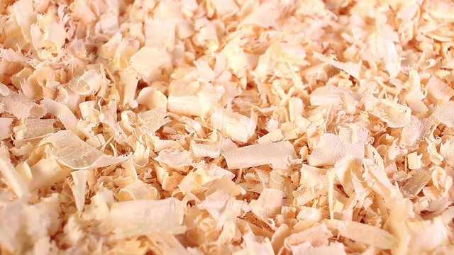 Wood excelsior pet bedding