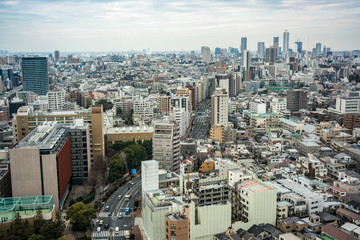 Fototapeta premium 東京文京区の上空