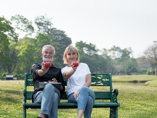 Senior man and woman couple holding a heart show happy pose in a park on a sunny day. Valentine's Day, Health, lifestyle, care, retirement grandparents concept.