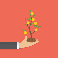 Human hands holding money tree. concept for making money, growing investment, getting profit, financial management