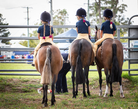 waiting to participate in the horse events, country show