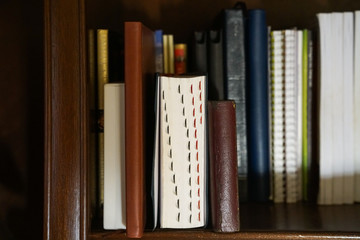 Books on wood color book shelves