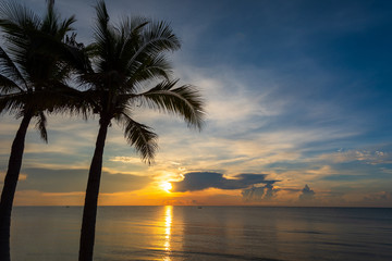 Tropical sunrise on the beach and silhouette coconut tree.