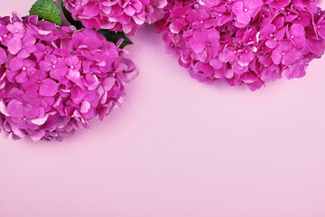 Obraz premium Beautiful floral background and green leaves, texture, wallpaper. Flat-lay of pink hydrangea on rose background, top view, copy space greeting card