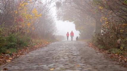 A couple wearing red coats are walking their dog on a stone paved road during a foggy misty morning.