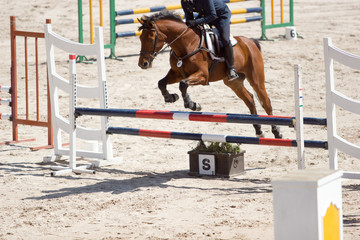 horse jumping the hurdles, equestrian contest