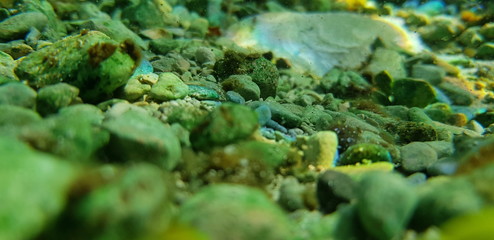 Rocas de Rio