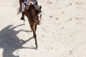 .Top view of a man riding a horse on sand in a equestrian contest, negative space