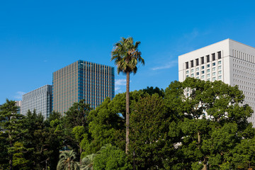 Obraz premium (東京都-都市風景)日比谷公園とオフィスビル群４