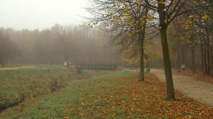 A person is walking with a dog in the early morning, in a foggy city park.