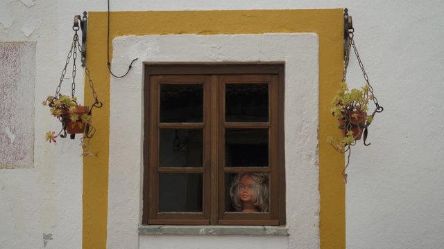Window with flowers and a creepy doll