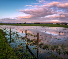 Sunset Reflections in a Flooded Pasture, Northern California, USA