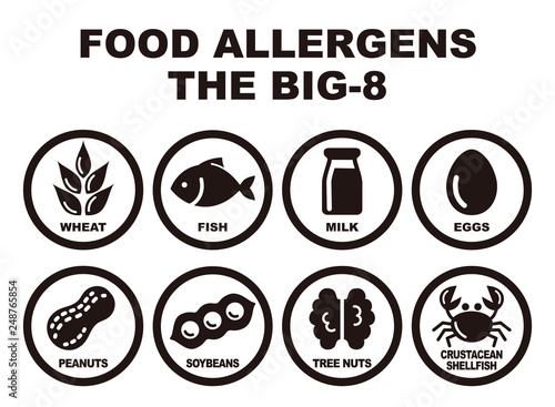 食物アレルギー誘発物質 8品目 アイコンイラスト Icon Wall Mural Ic Michikodesign