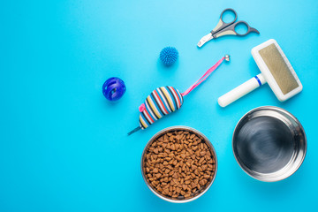 Pet, cat, food and accessories of cat life flat lay, with space for design, on blue background