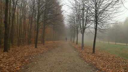 A man is walking down a foggy city park path.