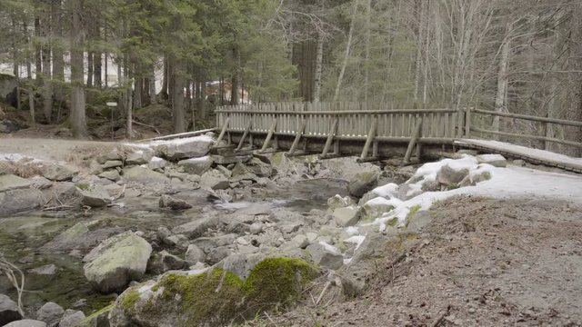 Wooden bridge above a stream in the woods static clip 4k Sony a6300 25p S-Log2