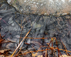 ice crystals forming on frozen pond