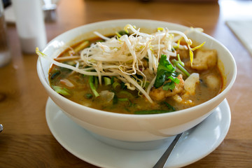 Malaysian Noodle Soup