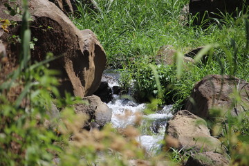 Small River in Bromo Tengger Semeru National Park
