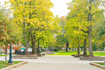 Fall color of the Queen's University