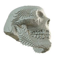 3d printed skull isolated