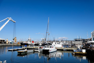 Waterfront, Cape Town