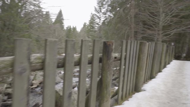 Walking through the woods with gimble short 4k Sony a6300 25p S-Log2
