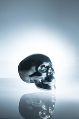 Schädel, Totenkopf