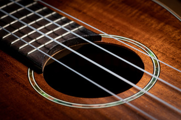 Fototapeta premium Closeup of a ukulele guitar with strings