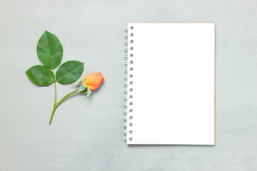 Blank paper and cute pink flowers