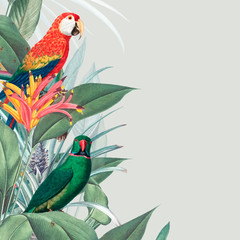 Macaw tropical mockup illustration © Rawpixel.com