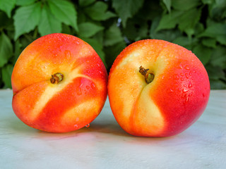 Ripe yellow-red orange peaches. Fresh harvest. The best healthy snack.Colorful fruits in white bowl on green grass. Flat lay of plates with Ripe peach fruits.Top view. Healthy food for picnic. 