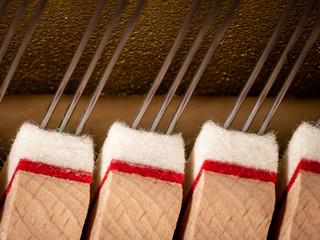 Abstract closeup of the interior of an upright piano © Stefan
