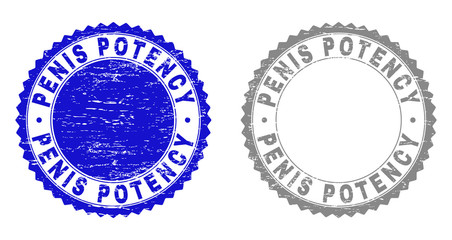 Obraz premium Grunge PENIS POTENCY stamp seals isolated on a white background. Rosette seals with grunge texture in blue and gray colors. Vector rubber watermark of PENIS POTENCY caption inside round rosette.