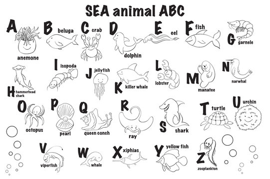 Zoo alphabet. Animal alphabet. Letters from A to Z. Cartoon cute animals isolated on white background.