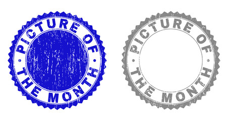 Grunge PICTURE OF THE MONTH stamp seals isolated on a white background. Rosette seals with grunge texture in blue and grey colors.