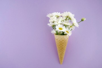 Flower card. White large daisies in a waffle cone on a light lilac background. Flower ice cream.top...